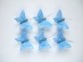 5cm Limited Edition Sky Blue Pastel Vein Feather Butterflies